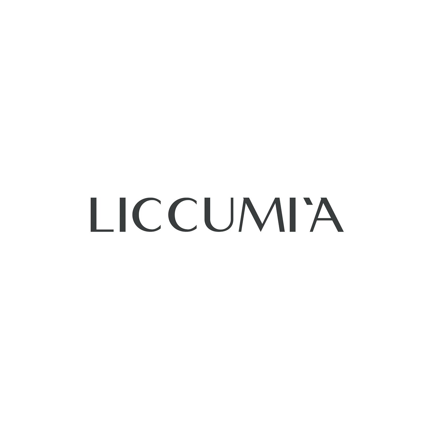 Giulia Doria Architetto | Lavica Studio | Liccumia Graphic design | branding | logo 6