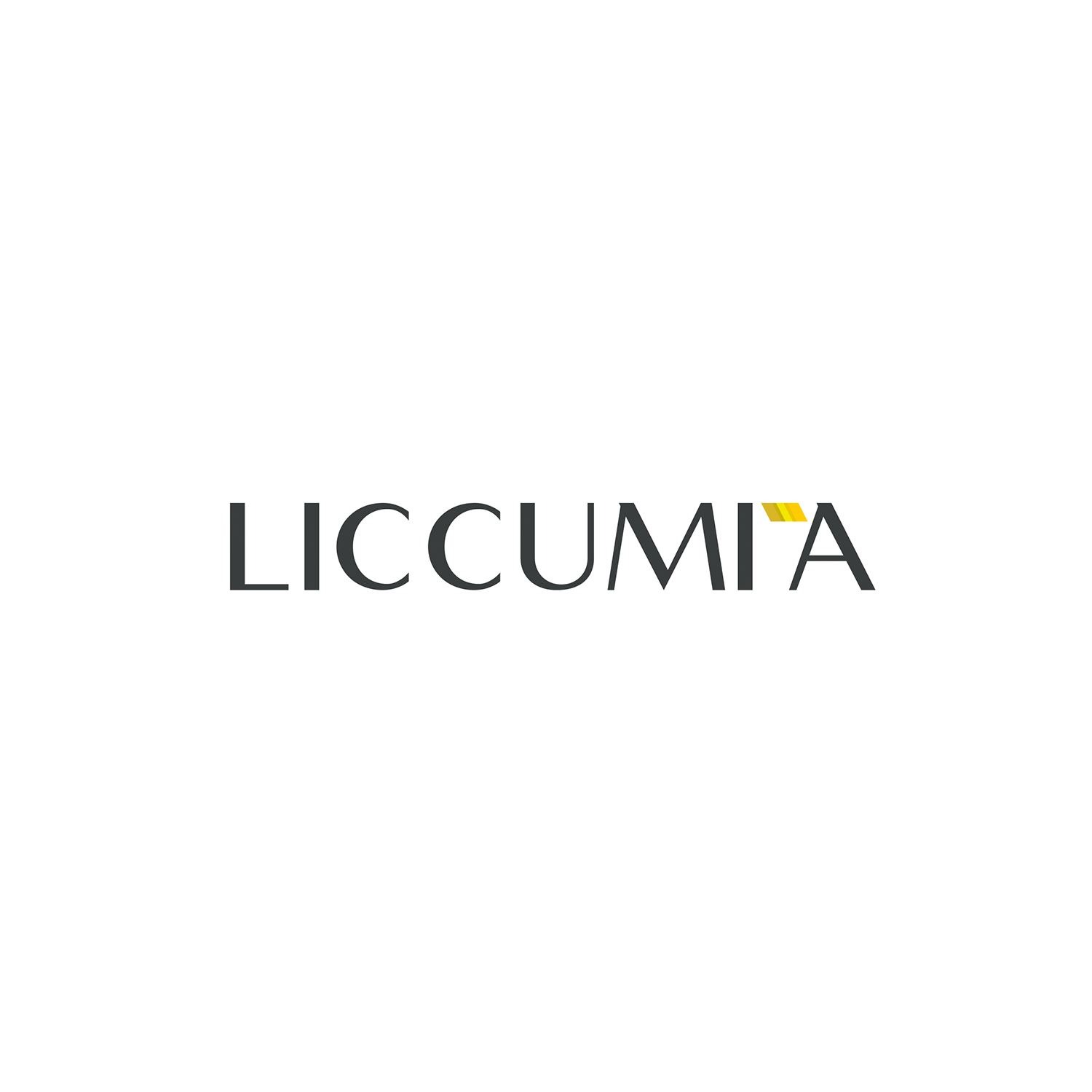 Giulia Doria Architetto | Lavica Studio | Liccumia Graphic design | branding | logo 5